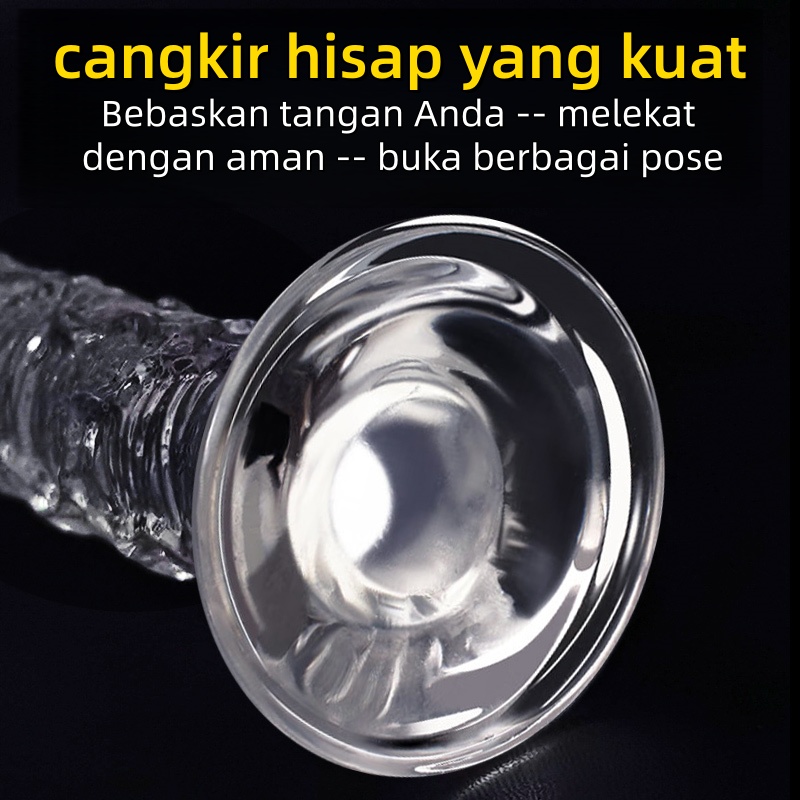 Dildo Realistis Silikon Lembut Premium Body Safe Panjang 19cm dengan Pengisap Kuat dan Bonus Pelumas 8ml
