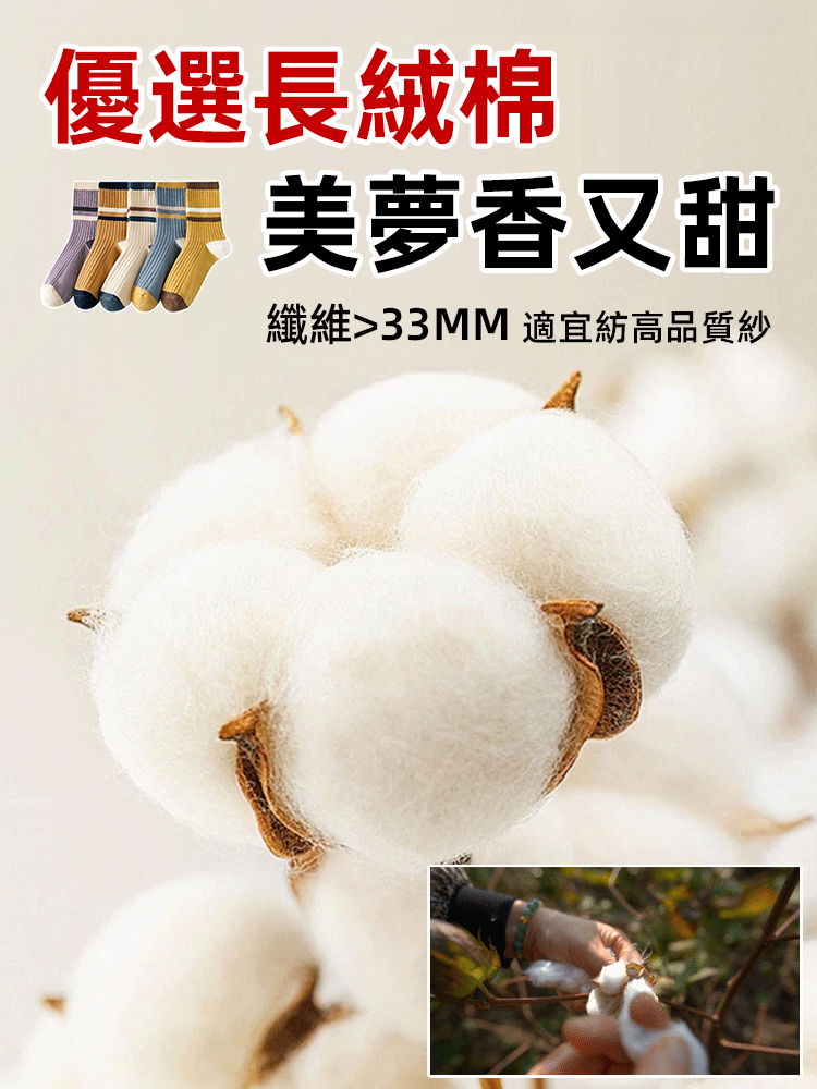 【除臭纖維】秋新糖果色百搭條紋長襪，會呼吸的保暖襪，穿一周也不臭腳