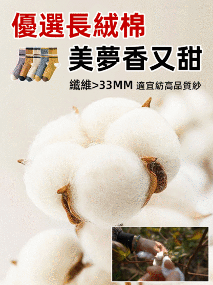 【除臭纖維】秋新糖果色百搭條紋長襪，會呼吸的保暖襪，穿一周也不臭腳