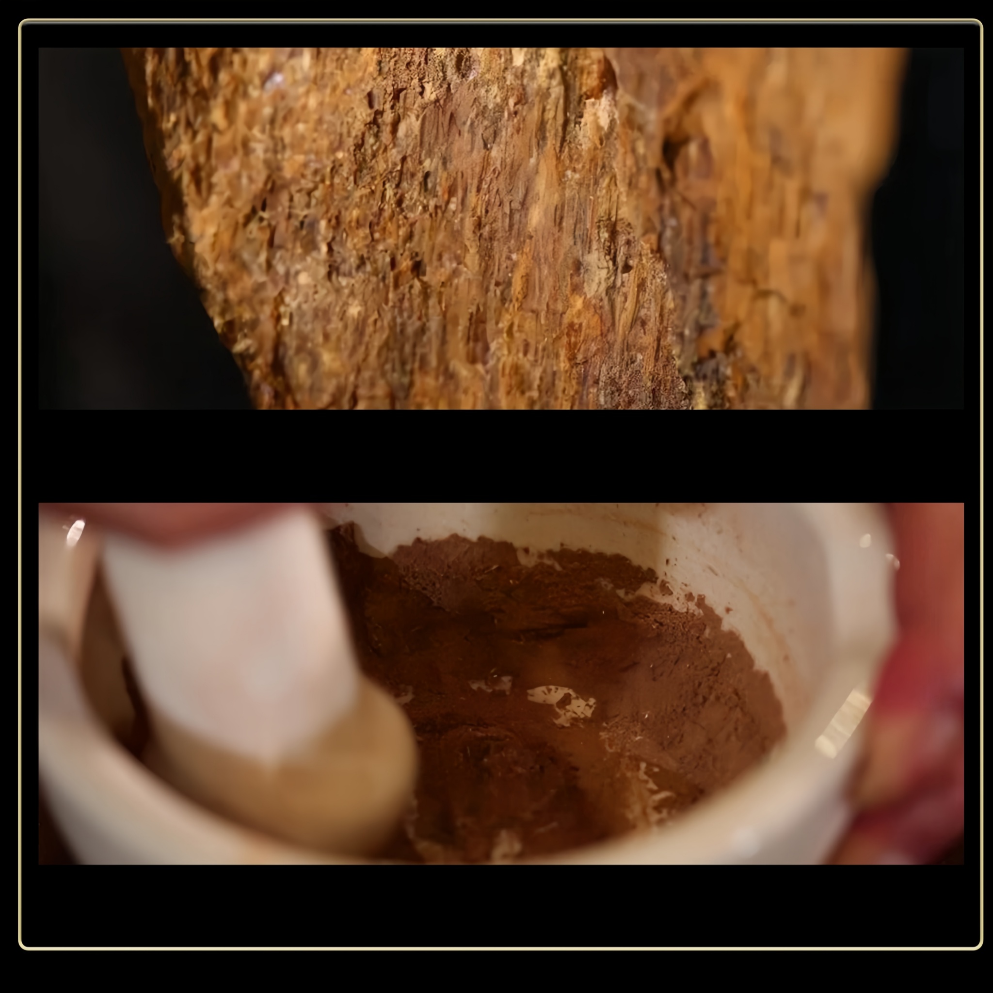 Phu Quoc Island Agarwood Incense Coils