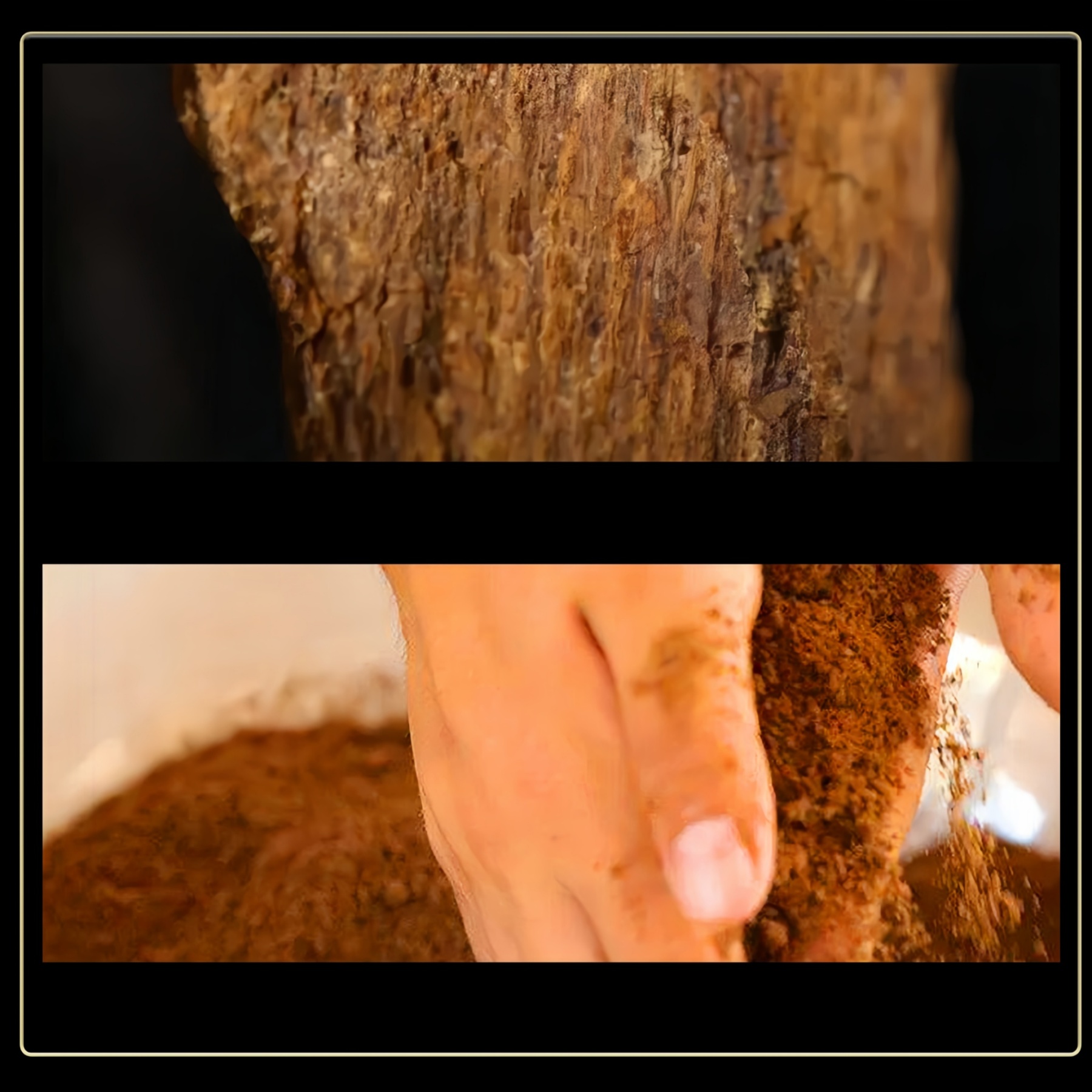 Phuoc Son Summit Incense Sticks