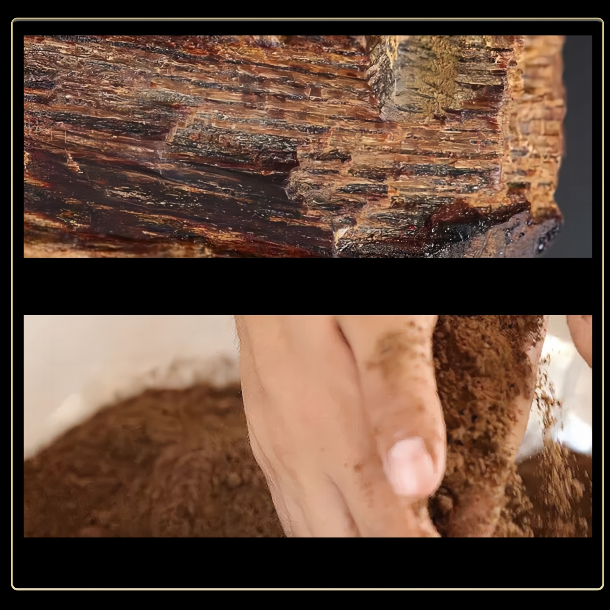 Dupont Aged Agarwood Incense Sticks