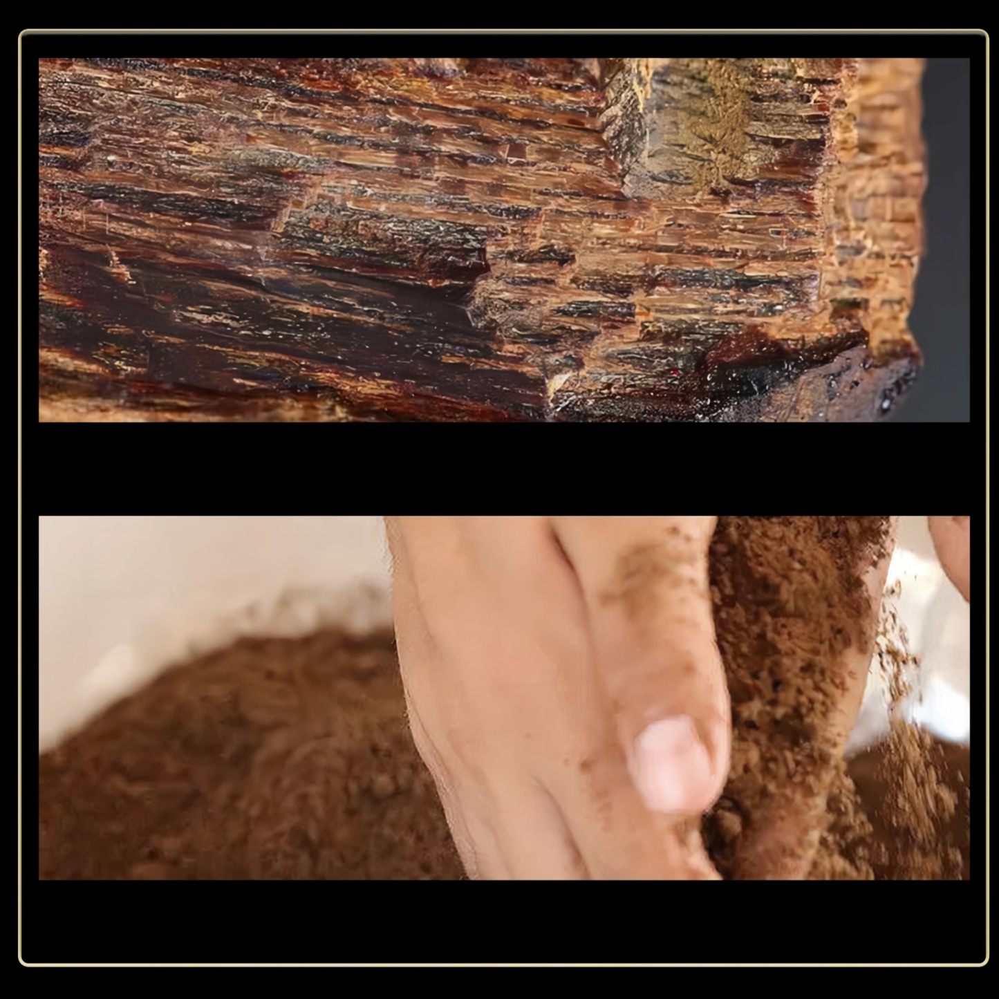 Dupont Aged Agarwood Incense Sticks