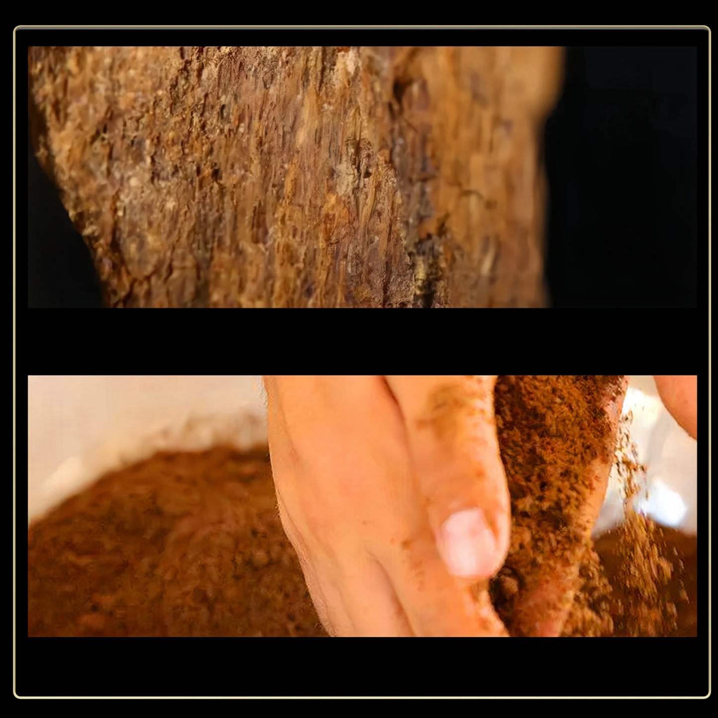 Bawangling Wild Agarwood Incense Sticks