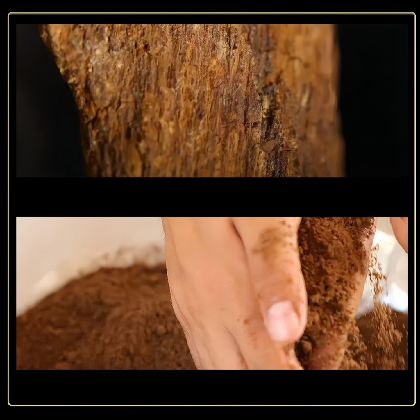 Phuoc Son Red Soil Agarwood Coil Incense
