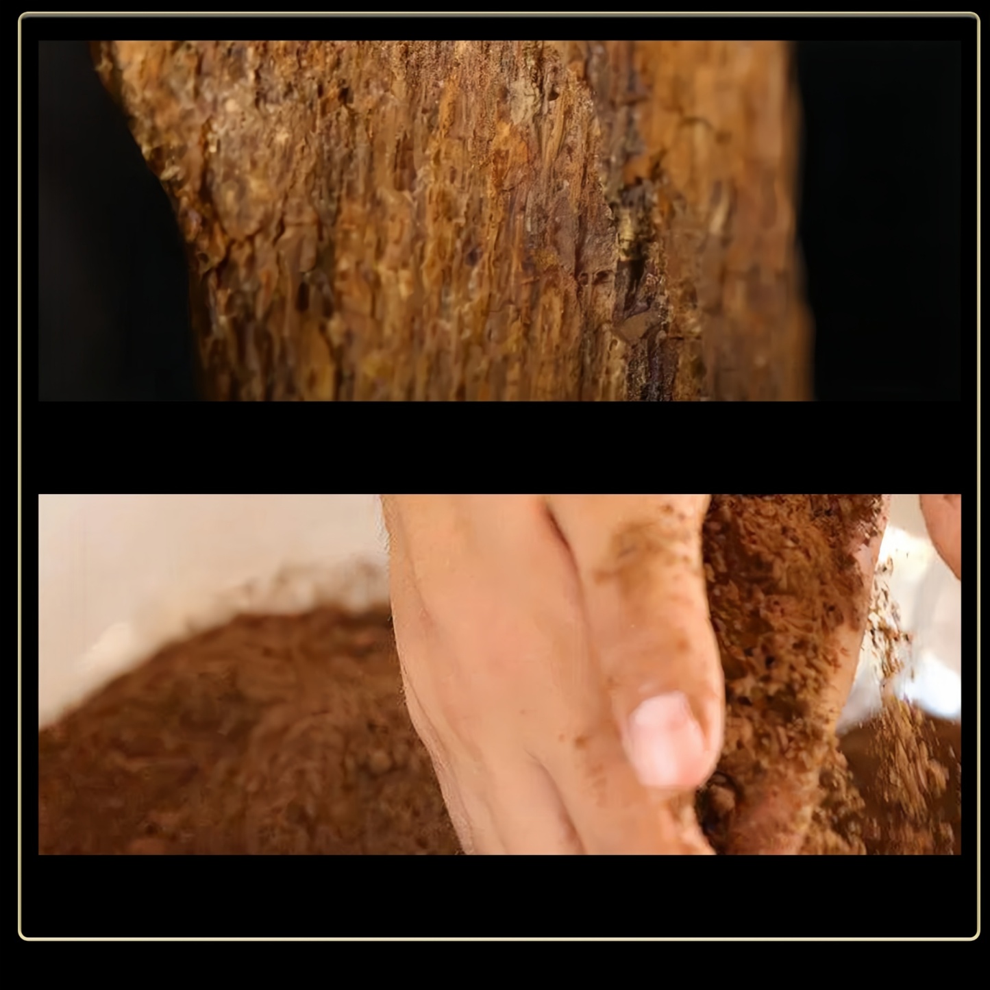 Phuoc Son Red Soil Agarwood Incense Sticks