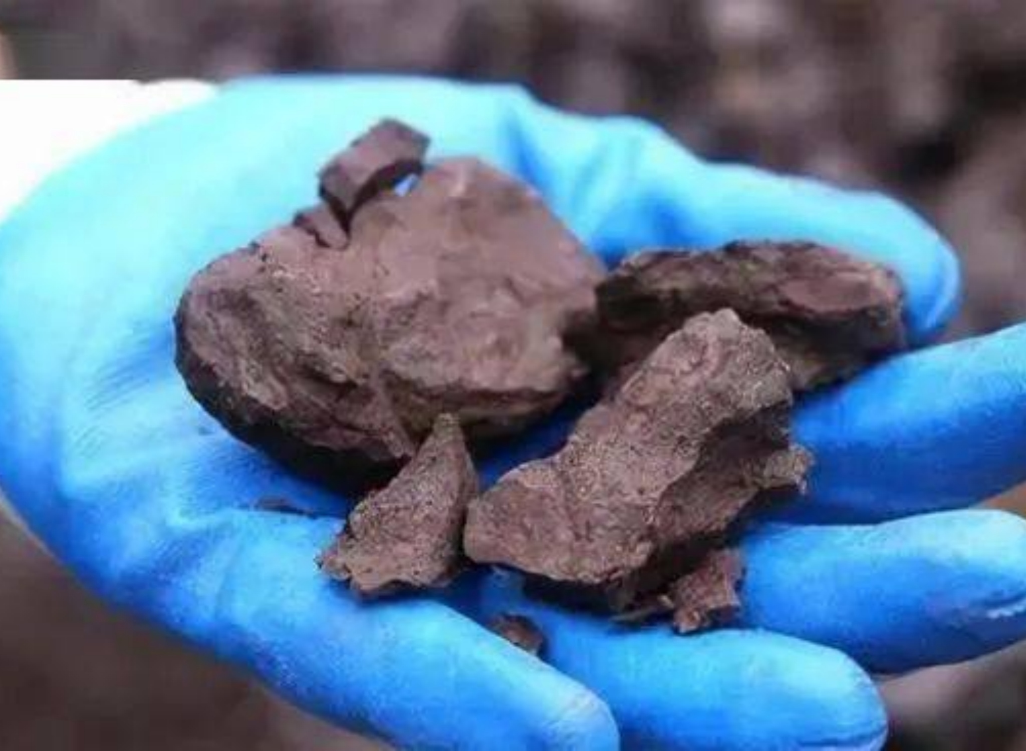 Yixing Old Purple Clay Flat Lid & Lotus Seed Zisha Teapot