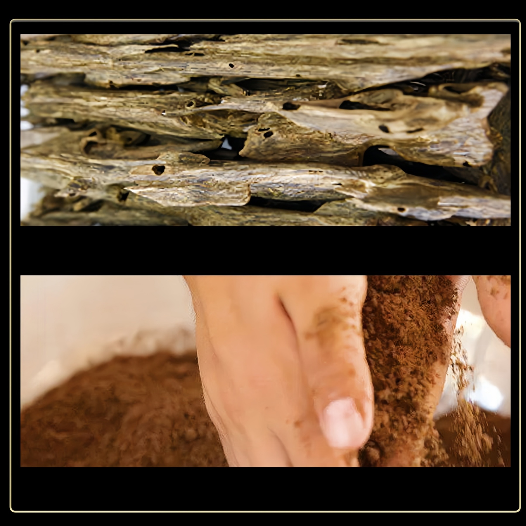 Nha Trang Earthy Agarwood Incense Sticks