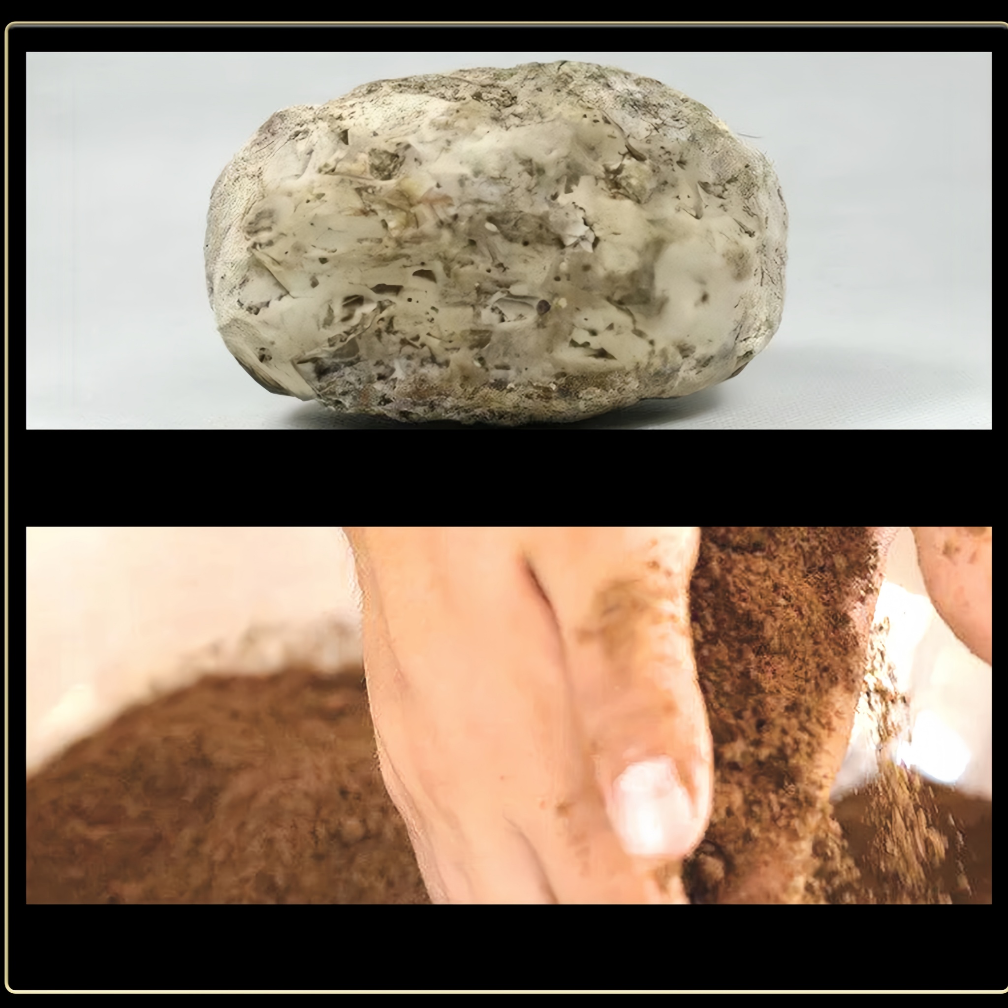 Dragon’s Resin Peak Incense Sticks