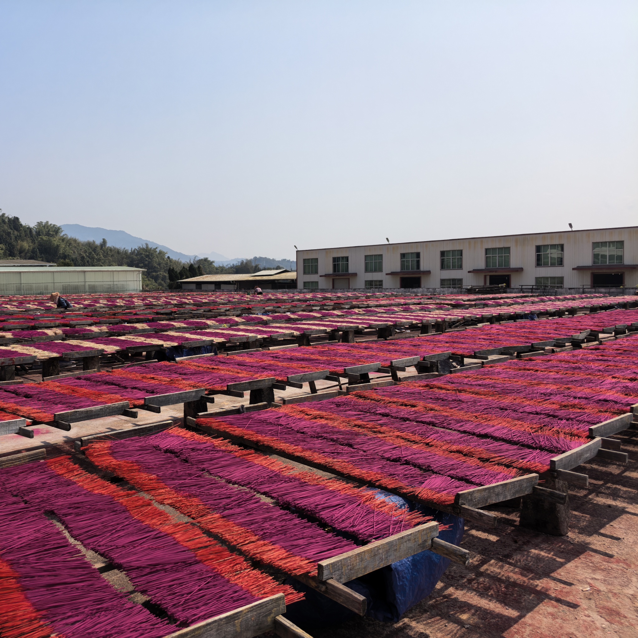 Phuoc Son Red Soil Agarwood Incense Sticks