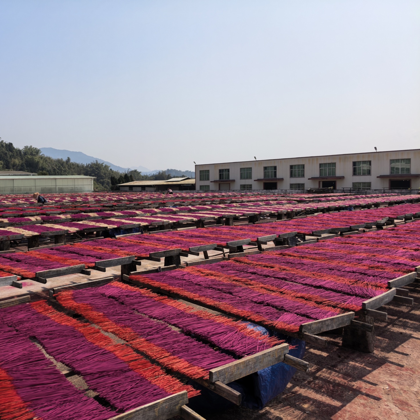 Phuoc Son Red Soil Agarwood Incense Sticks