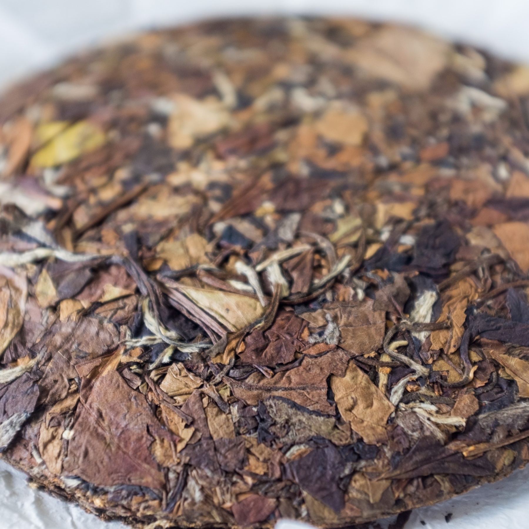 2017 Wild Aged White Tea Cake (Shou Mei) 