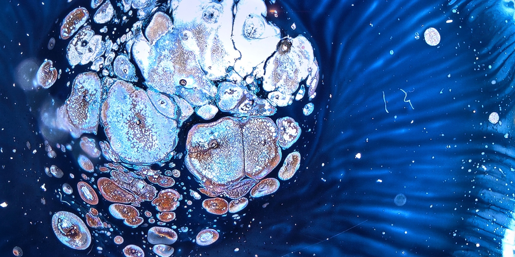 Aetherial Celestial tied-mouth Yohen Jian Zhan Tea Cup