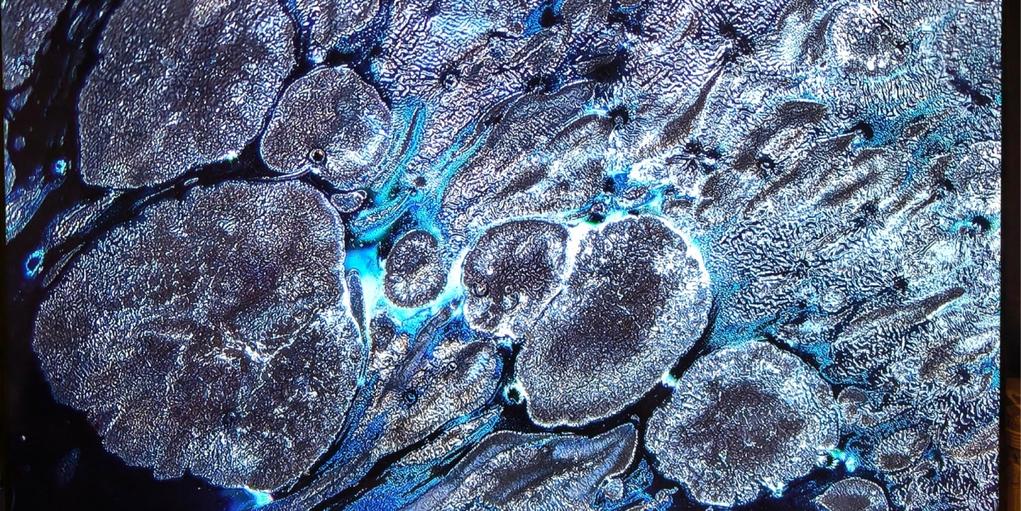 Aetherial Celestial tied-mouth Yohen Jian Zhan Tea Cup