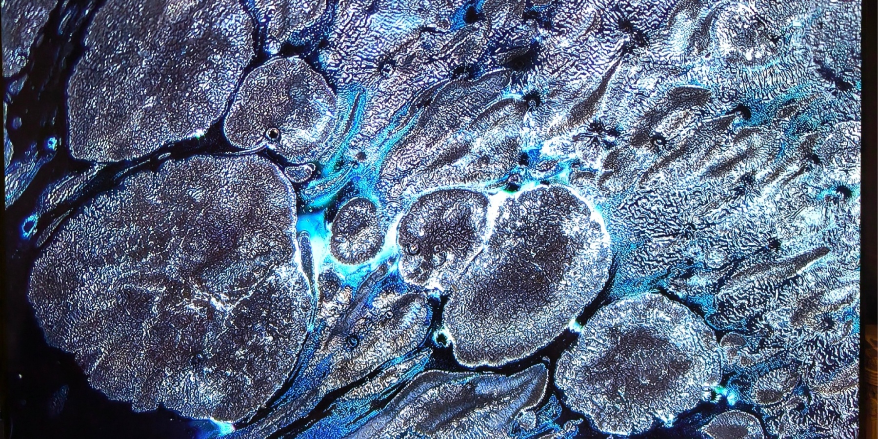 Aetherial Celestial tied-mouth Yohen Jian Zhan Tea Cup