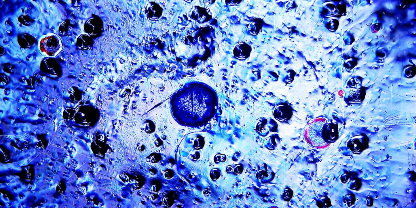 Atlantis' Luminous Depths tied-mouth Yohen Jian Zhan Tea Cup