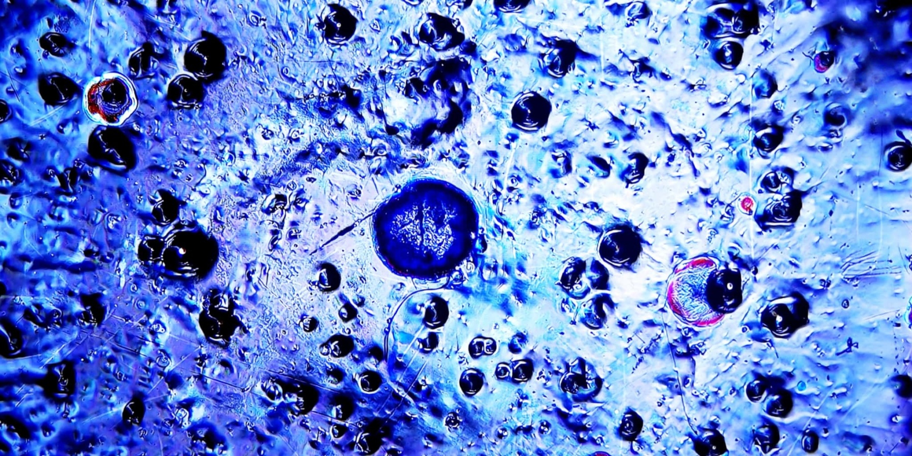 Atlantis' Luminous Depths tied-mouth Yohen Jian Zhan Tea Cup