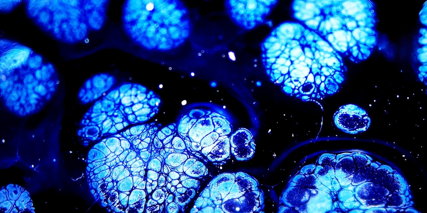 Atlantis' Luminous Depths tied-mouth Yohen Jian Zhan Tea Cup