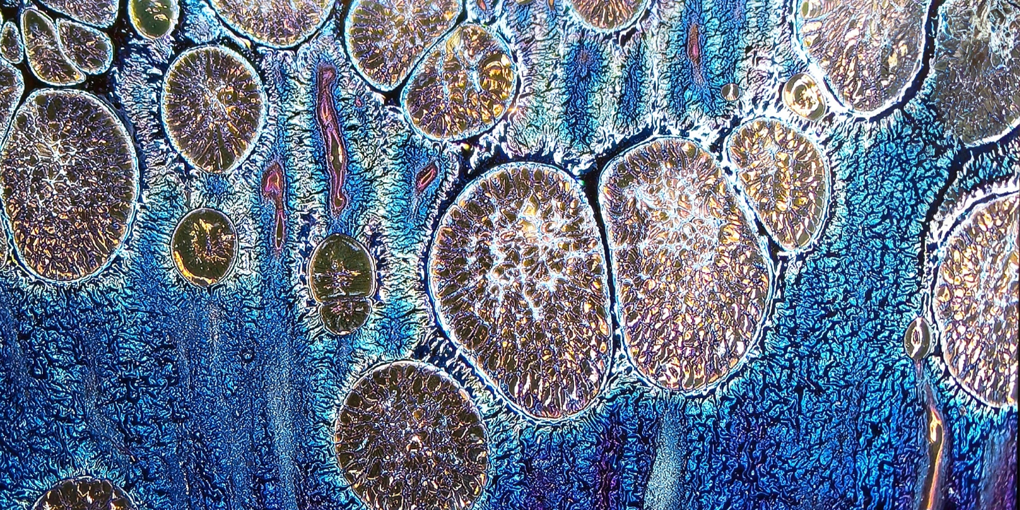 Aurora Chalice of Valhalla wide-mouth Yohen Jian Zhan Tea Cup