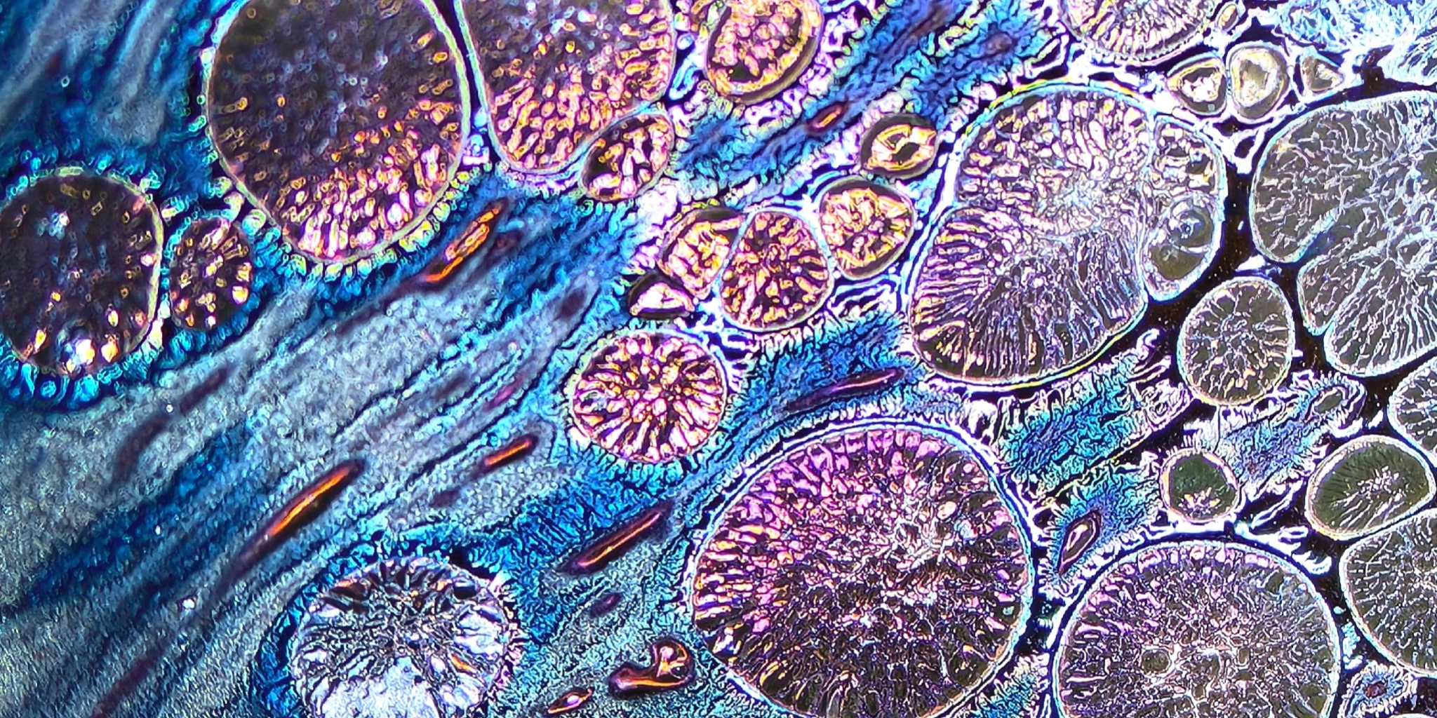 Aurora Chalice of Valhalla wide-mouth Yohen Jian Zhan Tea Cup