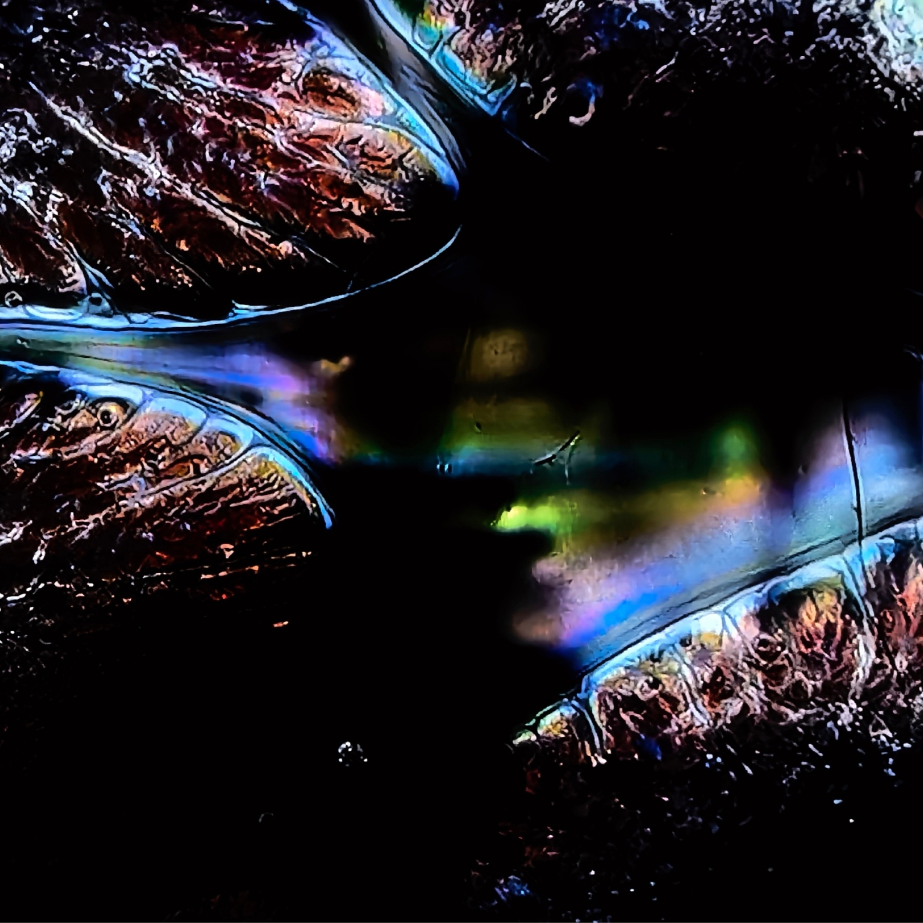 Aurora Dragon's Eye wide-mouth Yohen Jian Zhan Tea Cup