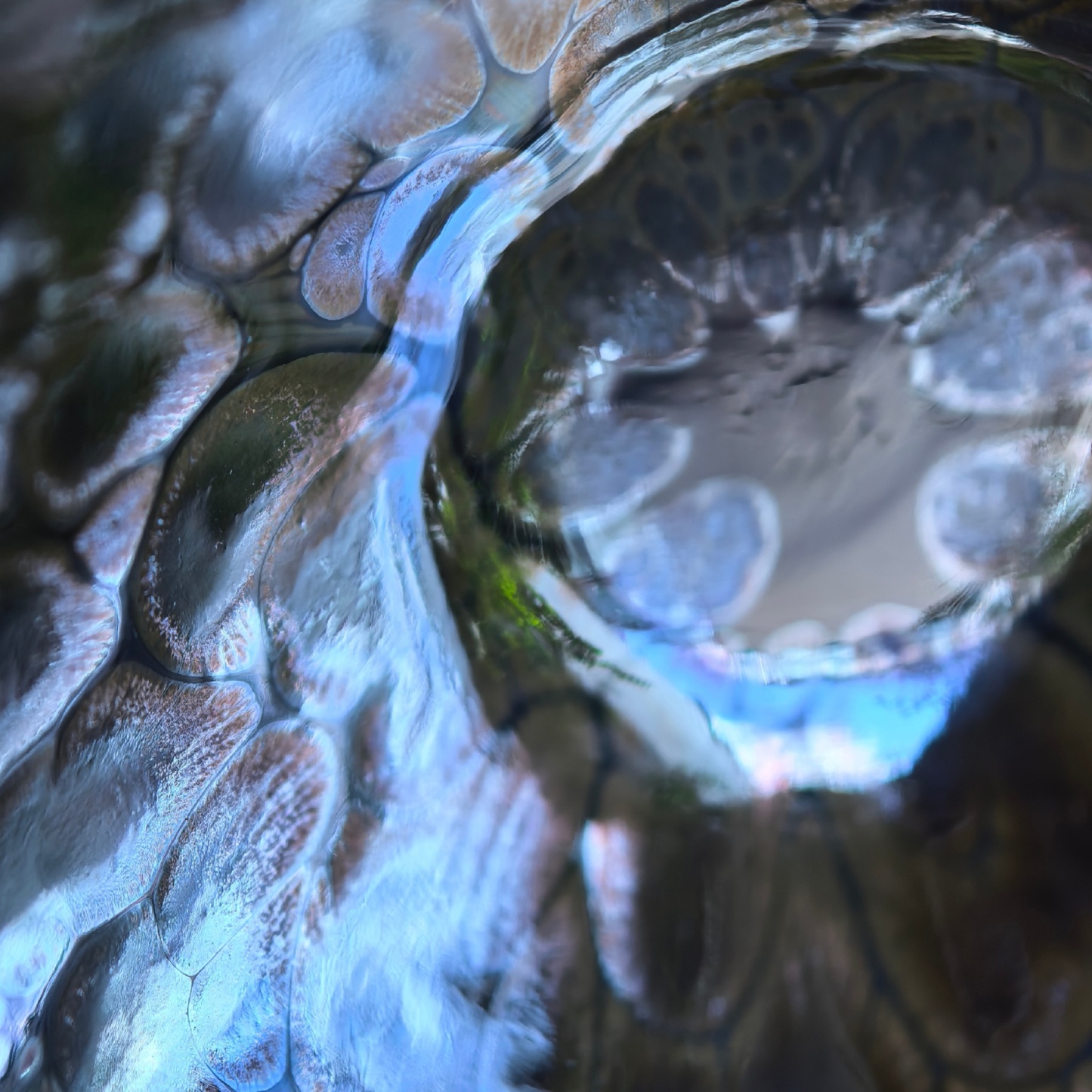 Aurora Dragon's Eye wide-mouth Yohen Jian Zhan Tea Cup