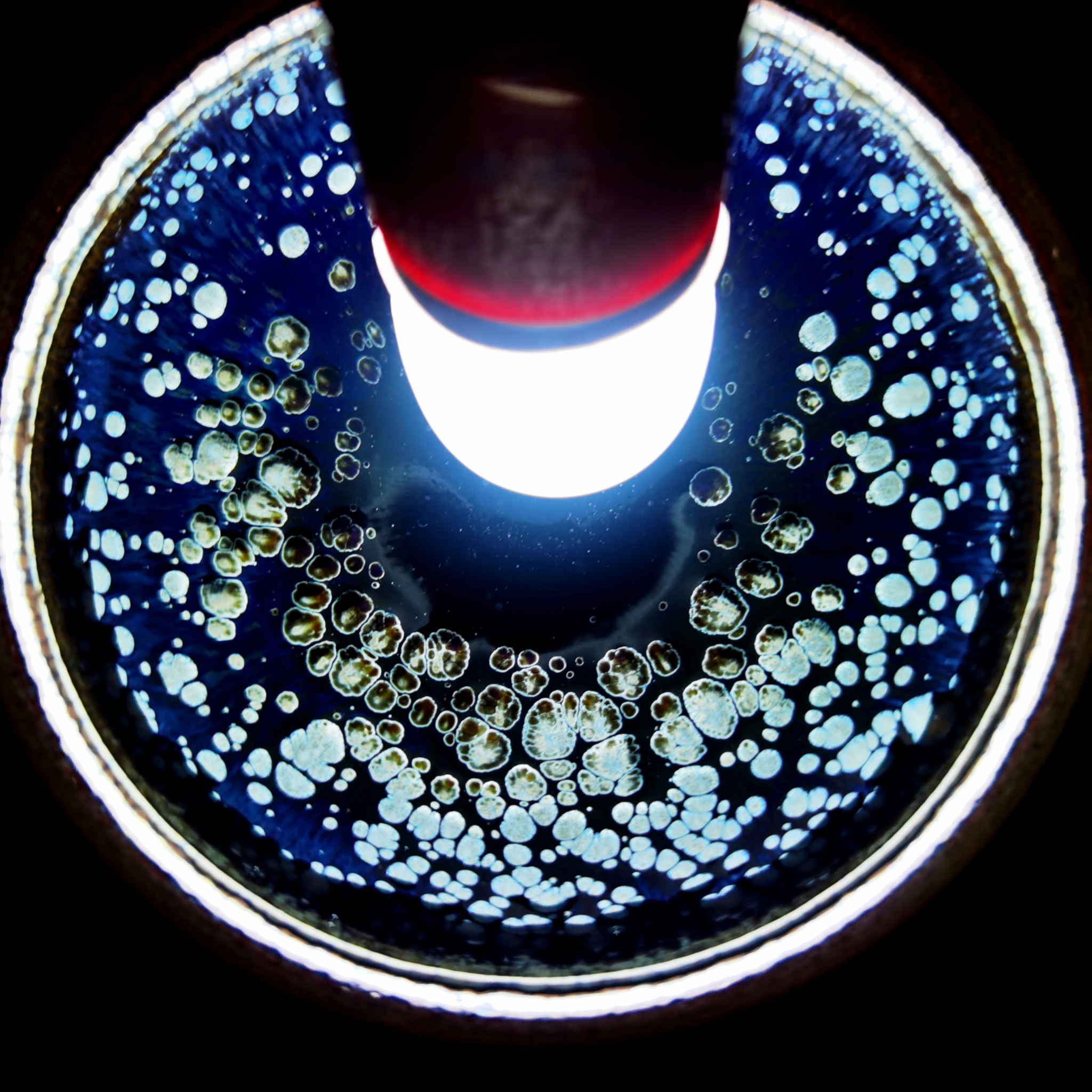 Celestial Orbs of Elysium tied-mouth Yohen Jian Zhan Tea Cup