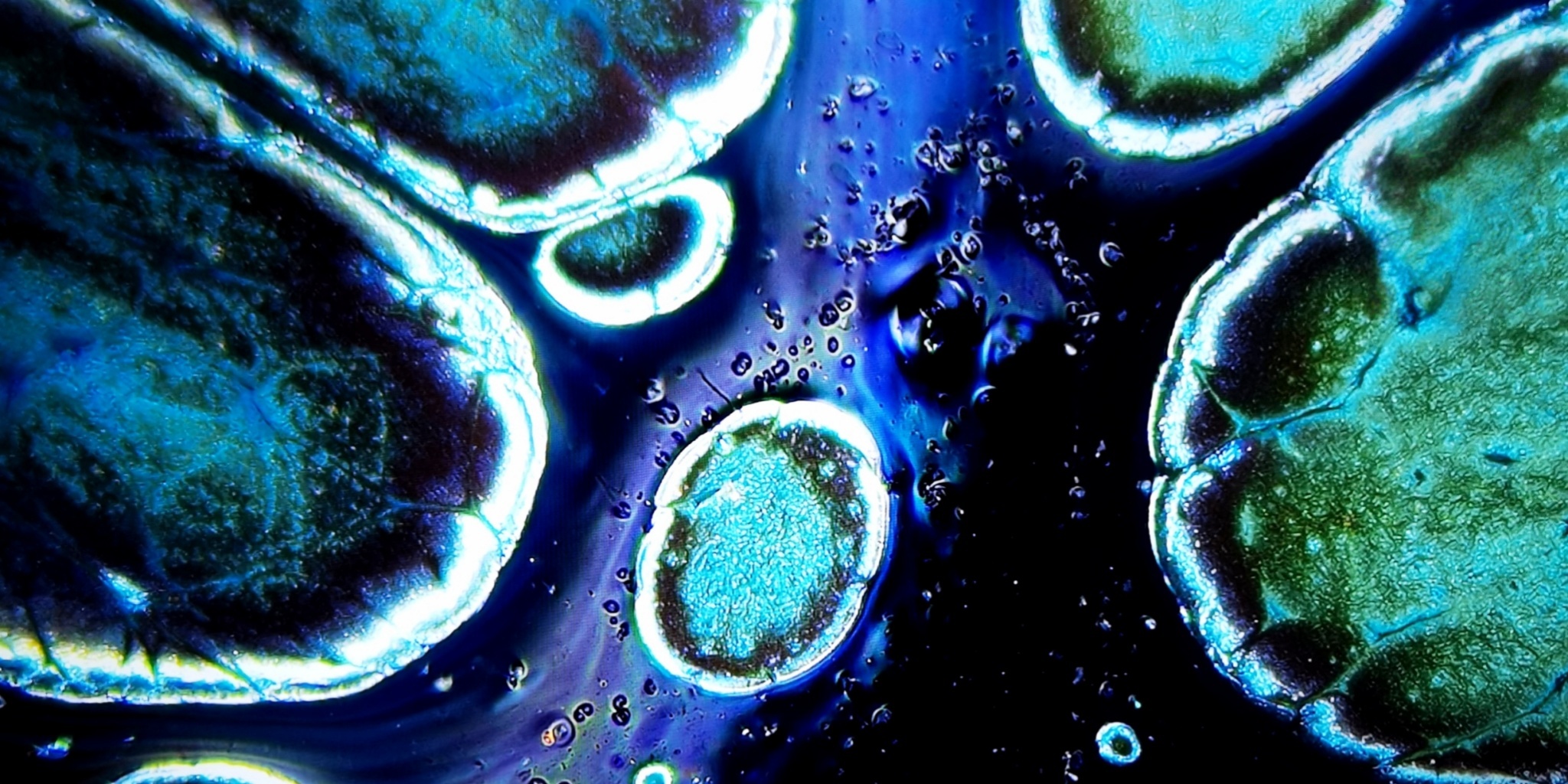 Europa's Azure Mosaics tied-mouth Yohen Jian Zhan Tea Cup