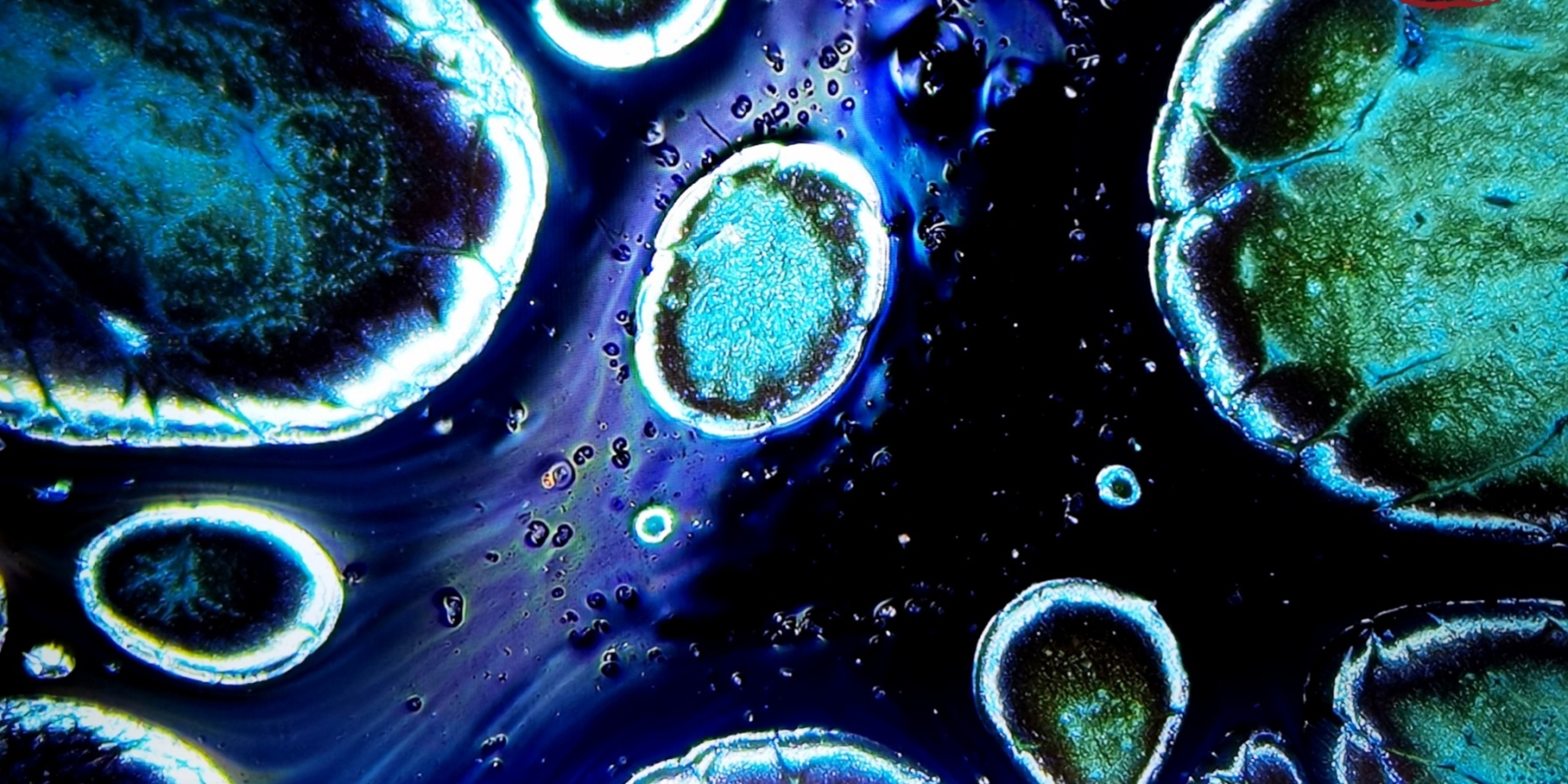 Europa's Azure Mosaics tied-mouth Yohen Jian Zhan Tea Cup