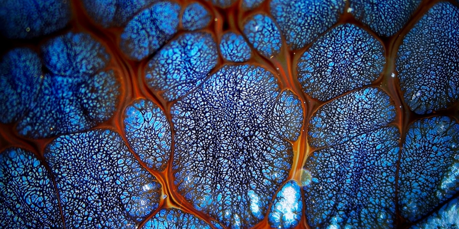 Europa's Azure Mosaics tied-mouth Yohen Jian Zhan Tea Cup