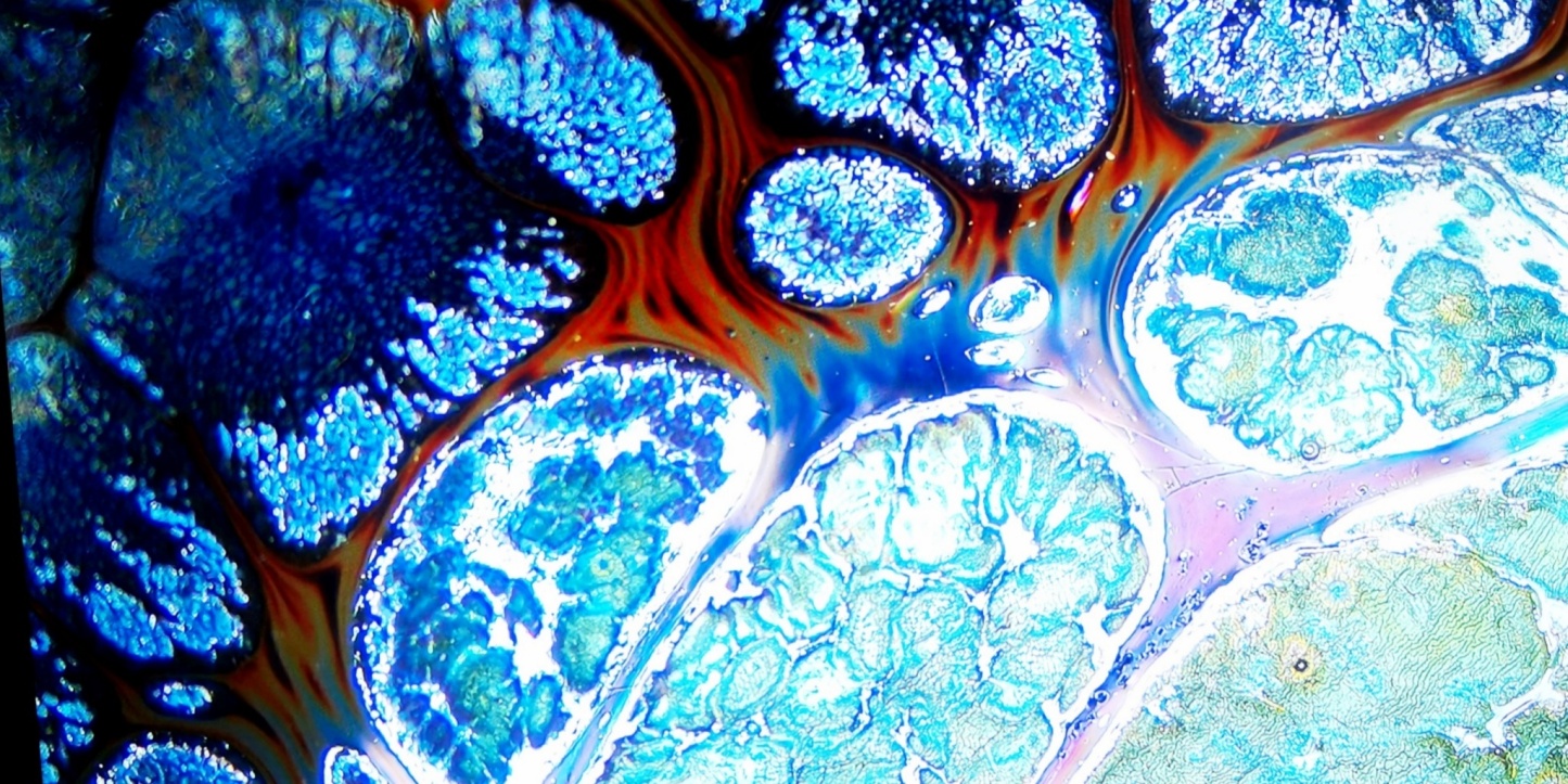 Gaia's Crystal Veins tied-mouth Yohen Jian Zhan Tea Cup