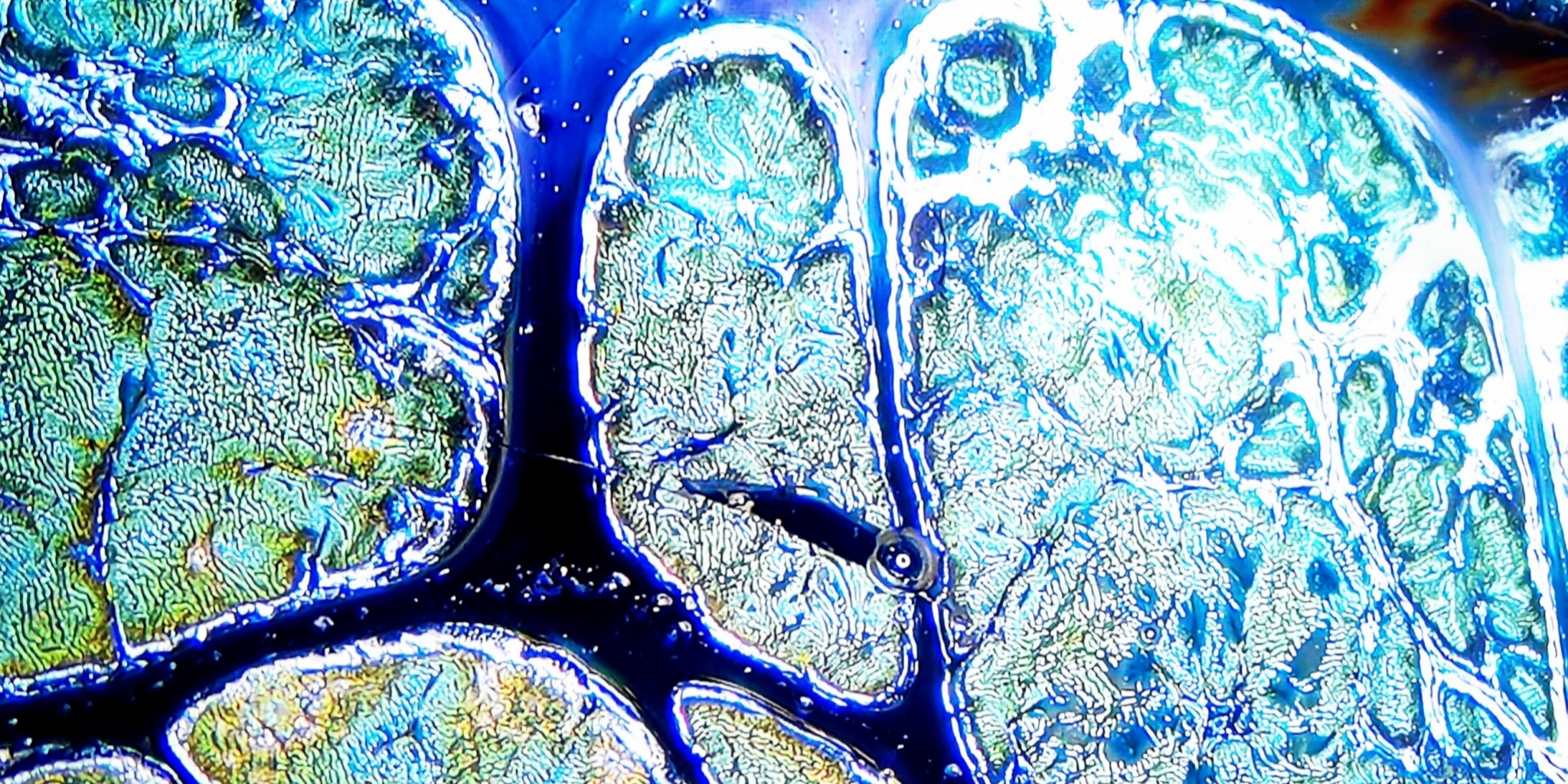 Gaia's Crystal Veins tied-mouth Yohen Jian Zhan Tea Cup