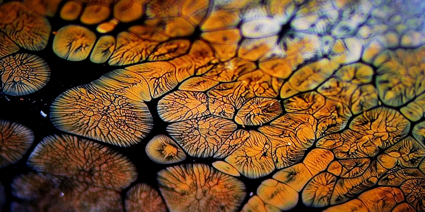 Gaia's Crystal Veins tied-mouth Yohen Jian Zhan Tea Cup