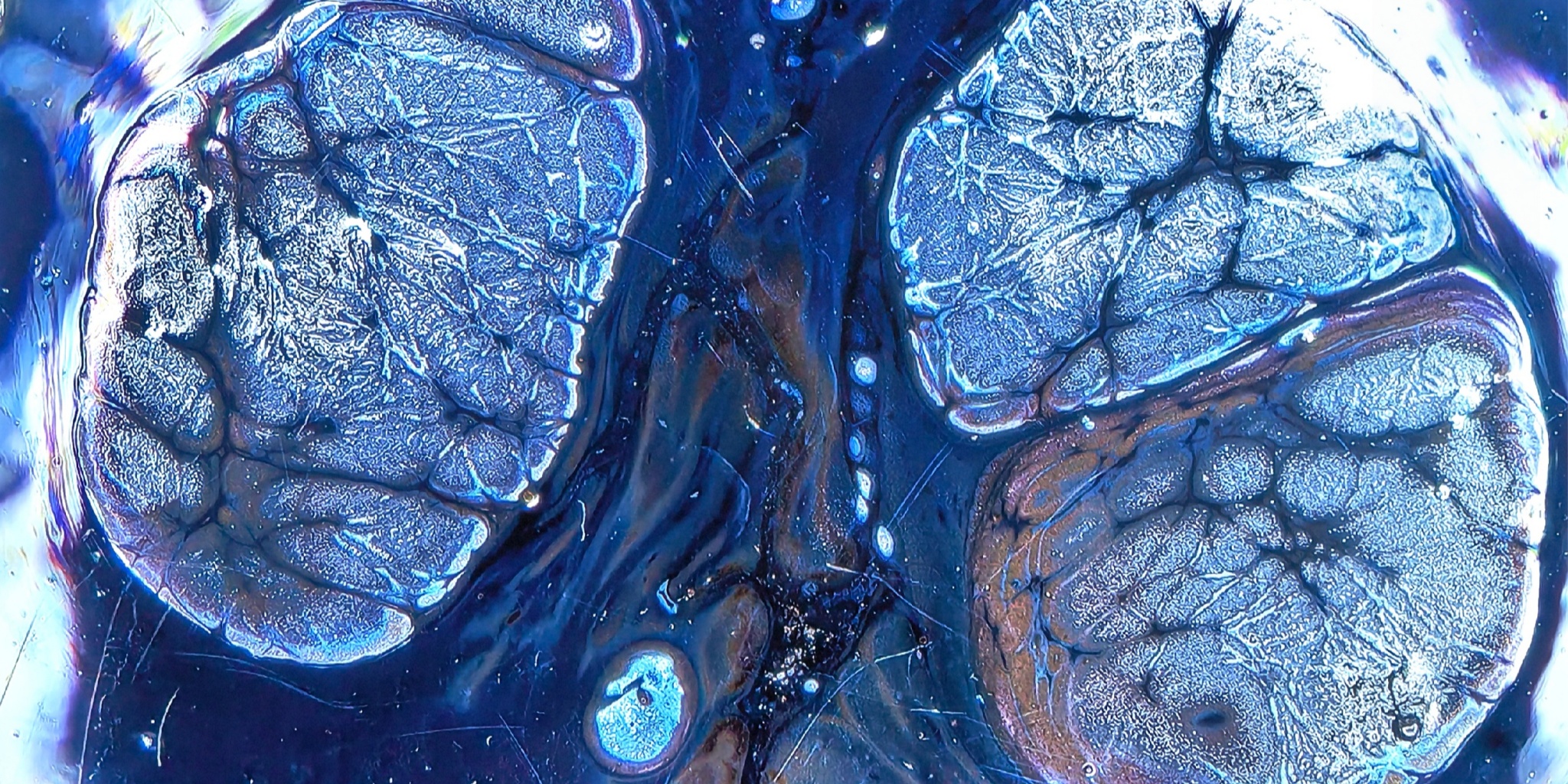 Midgard's Prismatic Cup wide-mouth Yohen Jian Zhan Tea Cup