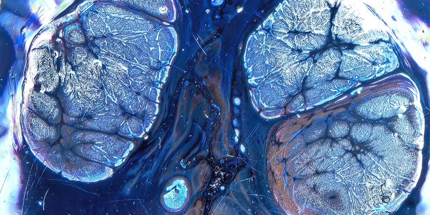 Midgard's Prismatic Cup wide-mouth Yohen Jian Zhan Tea Cup