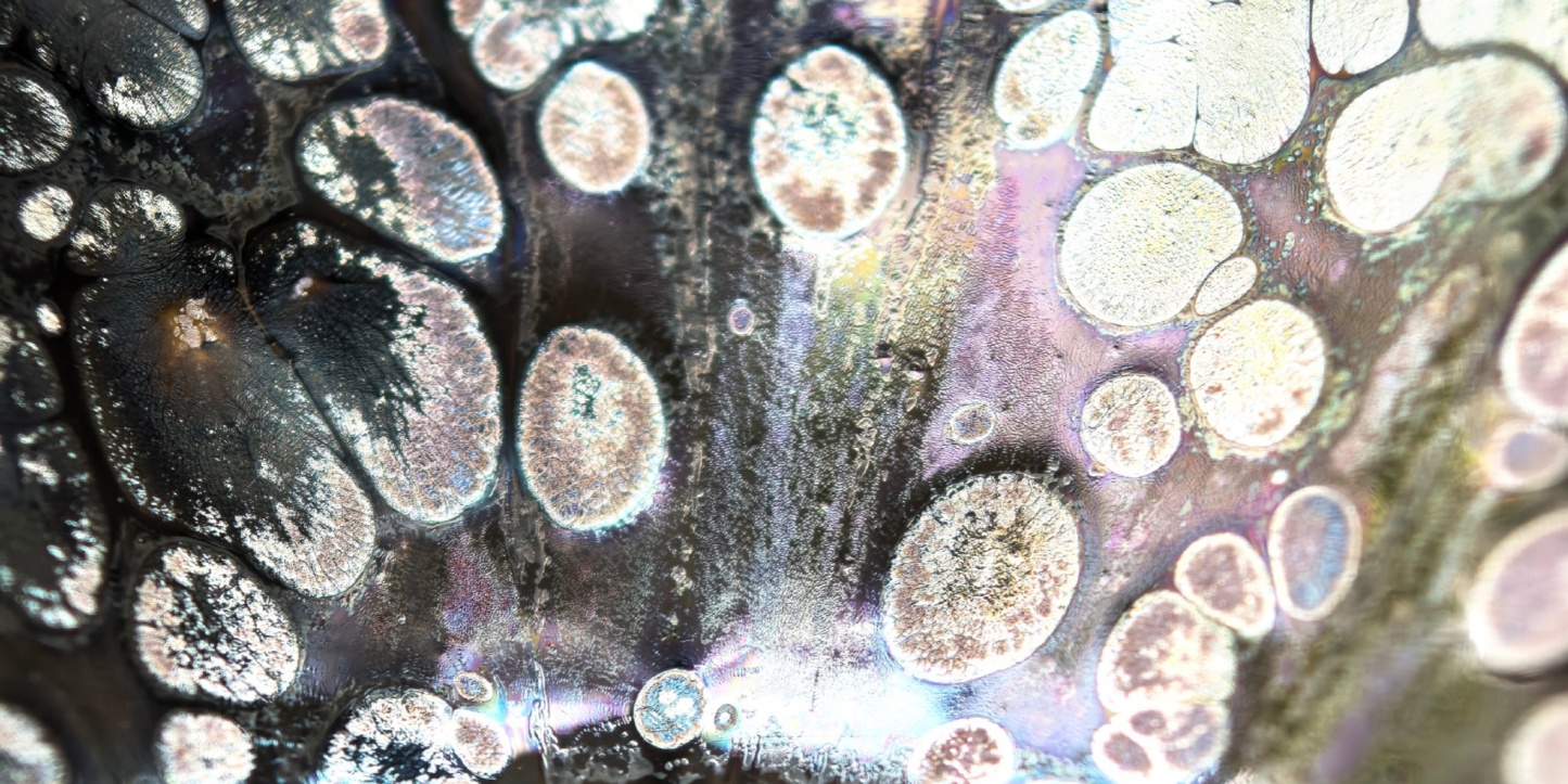 Midgard's Prismatic Cup wide-mouth Yohen Jian Zhan Tea Cup