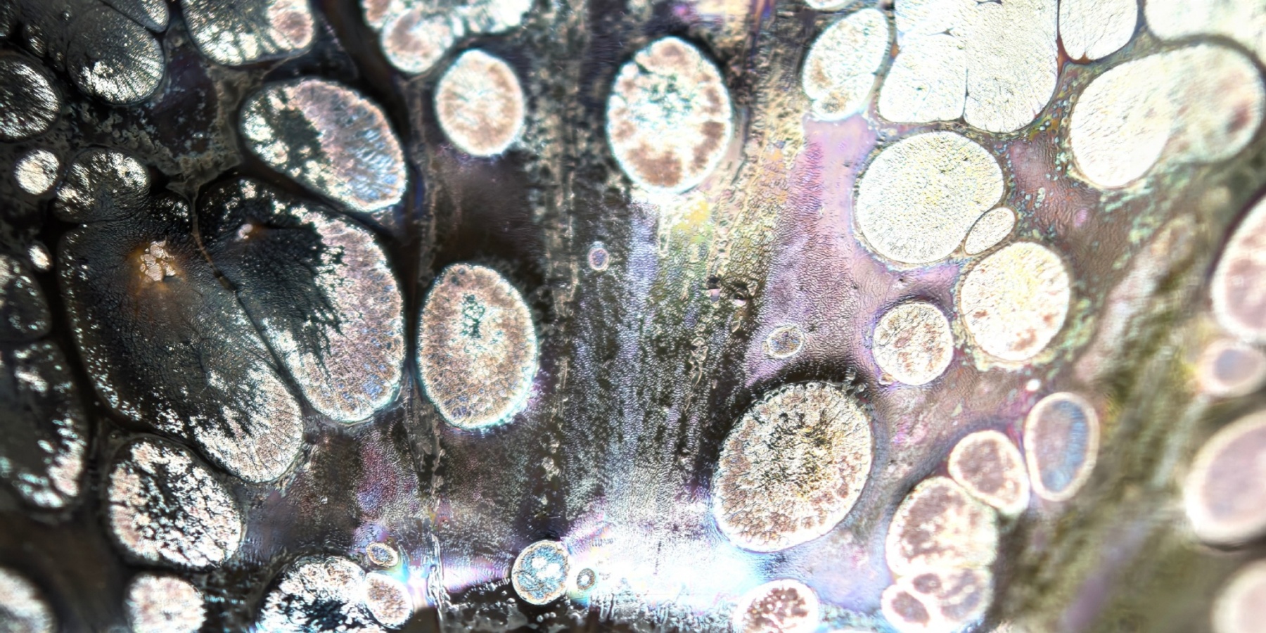 Midgard's Prismatic Cup wide-mouth Yohen Jian Zhan Tea Cup