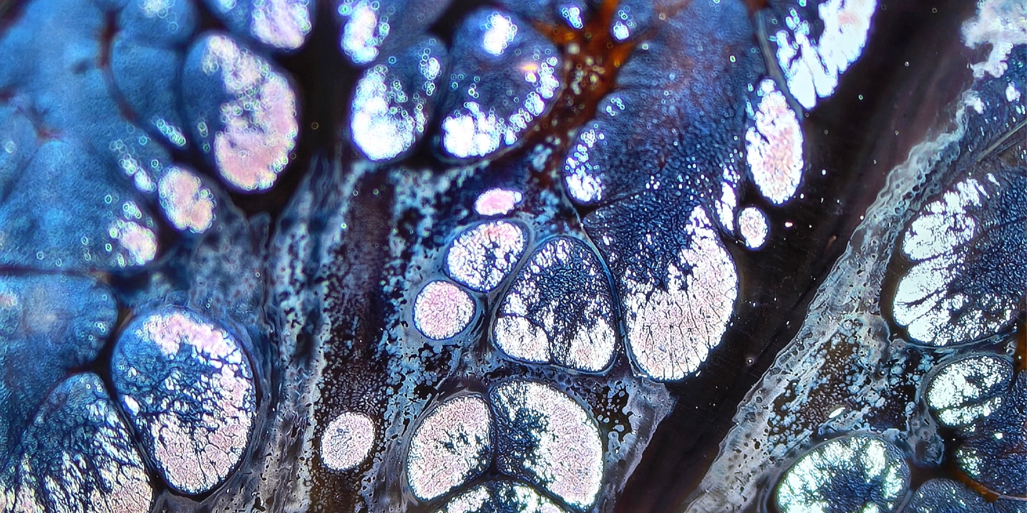 Midgard's Prismatic Cup wide-mouth Yohen Jian Zhan Tea Cup