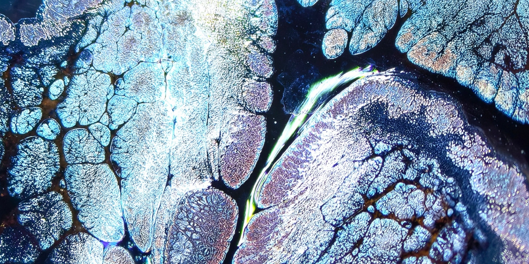 Midgard's Prismatic Cup wide-mouth Yohen Jian Zhan Tea Cup