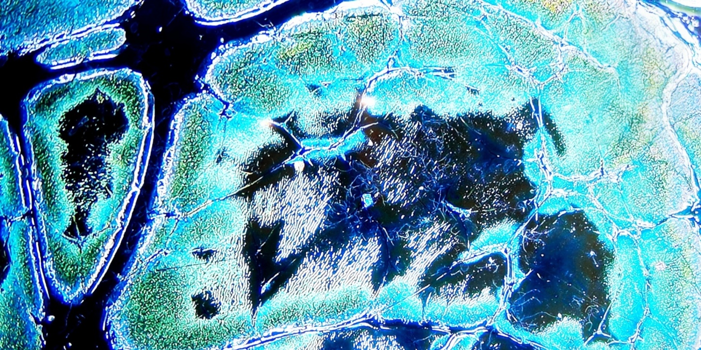 Niflheim's Frosty Gems tied-mouth Yohen Jian Zhan Tea Cup