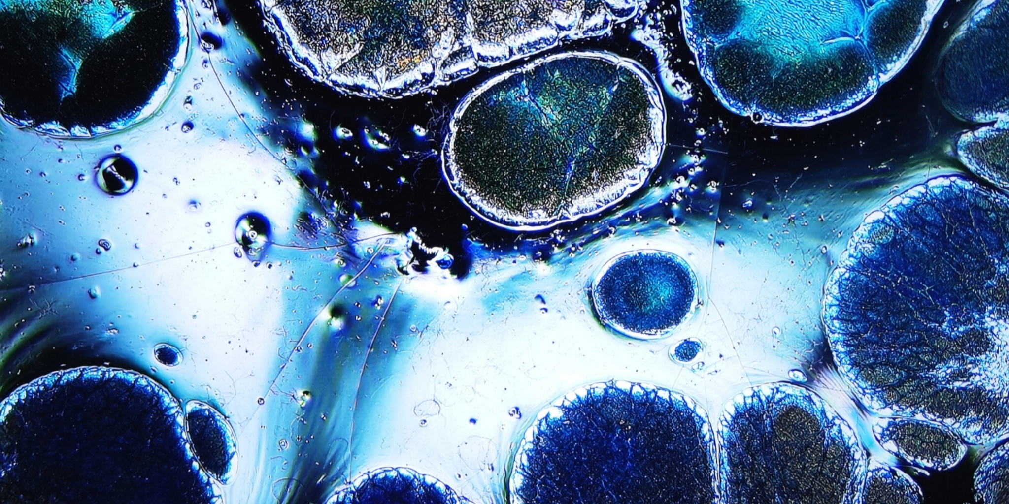 Niflheim's Frosty Gems tied-mouth Yohen Jian Zhan Tea Cup