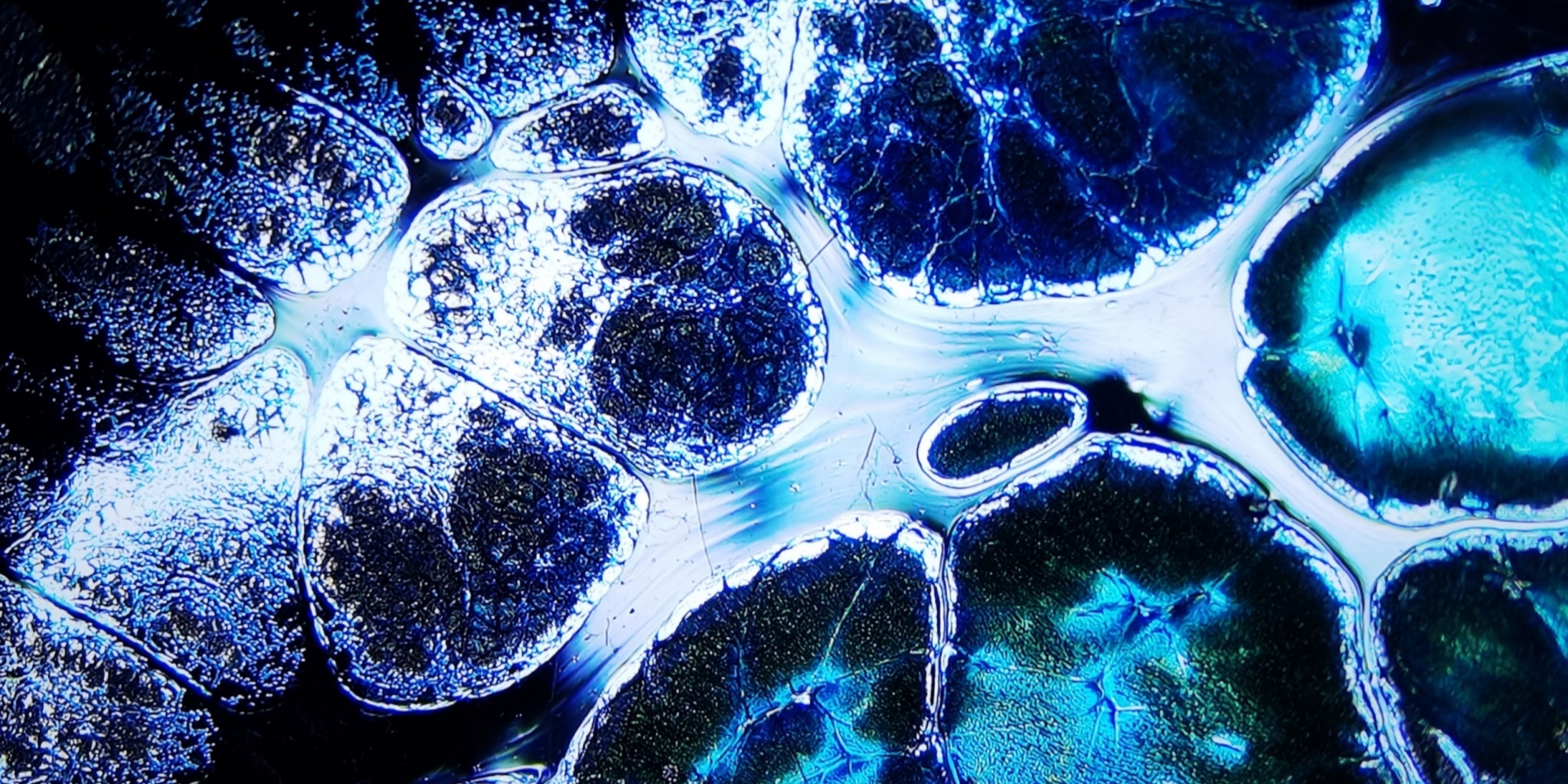 Niflheim's Frosty Gems tied-mouth Yohen Jian Zhan Tea Cup