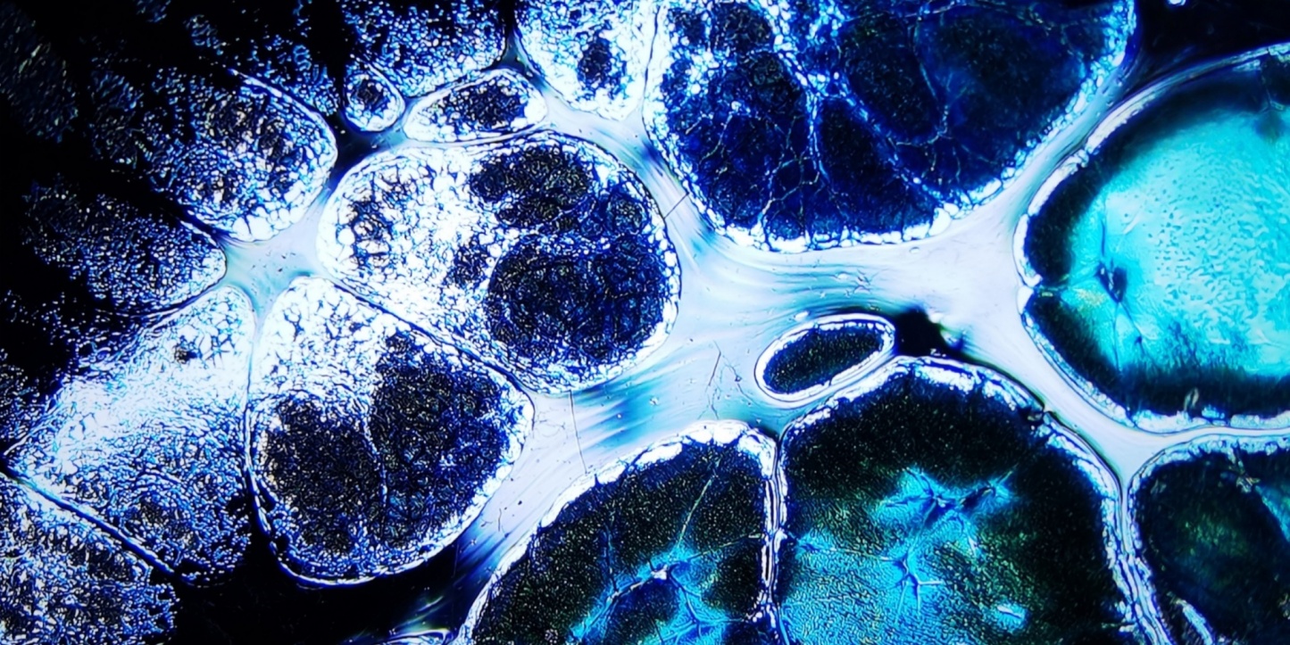 Niflheim's Frosty Gems tied-mouth Yohen Jian Zhan Tea Cup