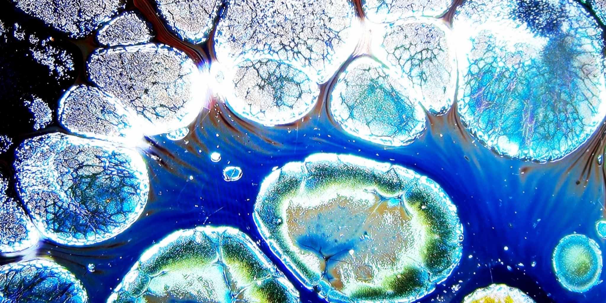 Niflheim's Frosty Gems tied-mouth Yohen Jian Zhan Tea Cup