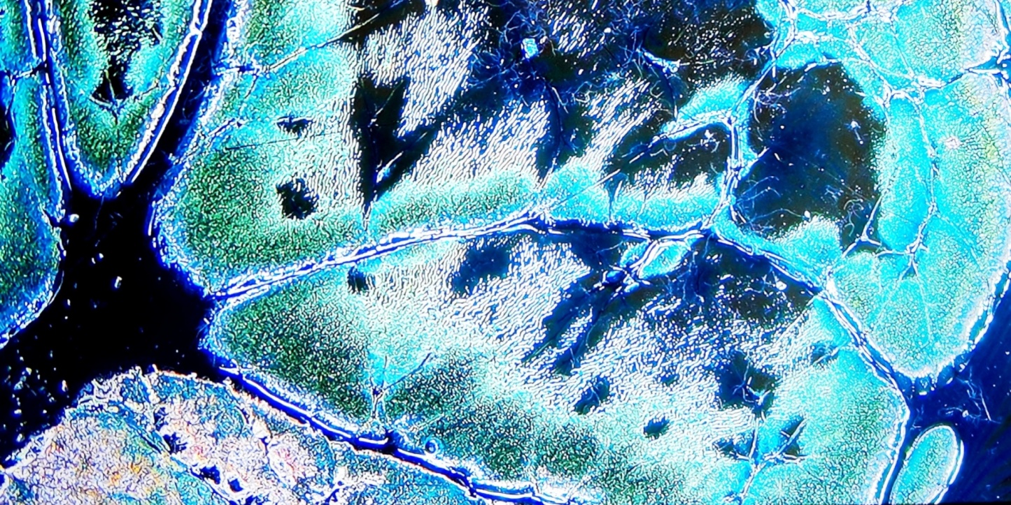 Niflheim's Frosty Gems tied-mouth Yohen Jian Zhan Tea Cup