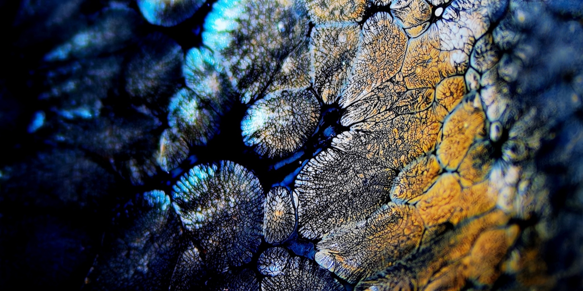 Odin's Cosmic Fragments tied-mouth Yohen Jian Zhan Tea Cup