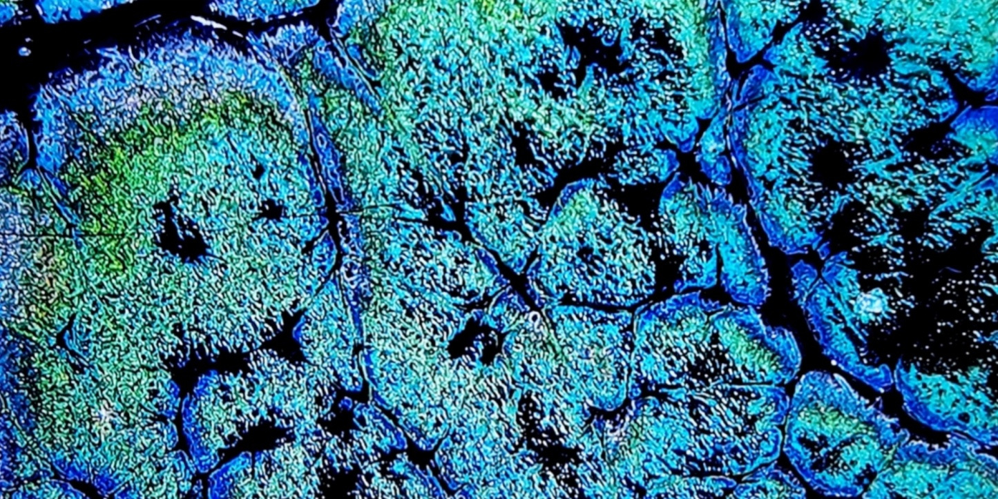 Odin's Cosmic Fragments tied-mouth Yohen Jian Zhan Tea Cup