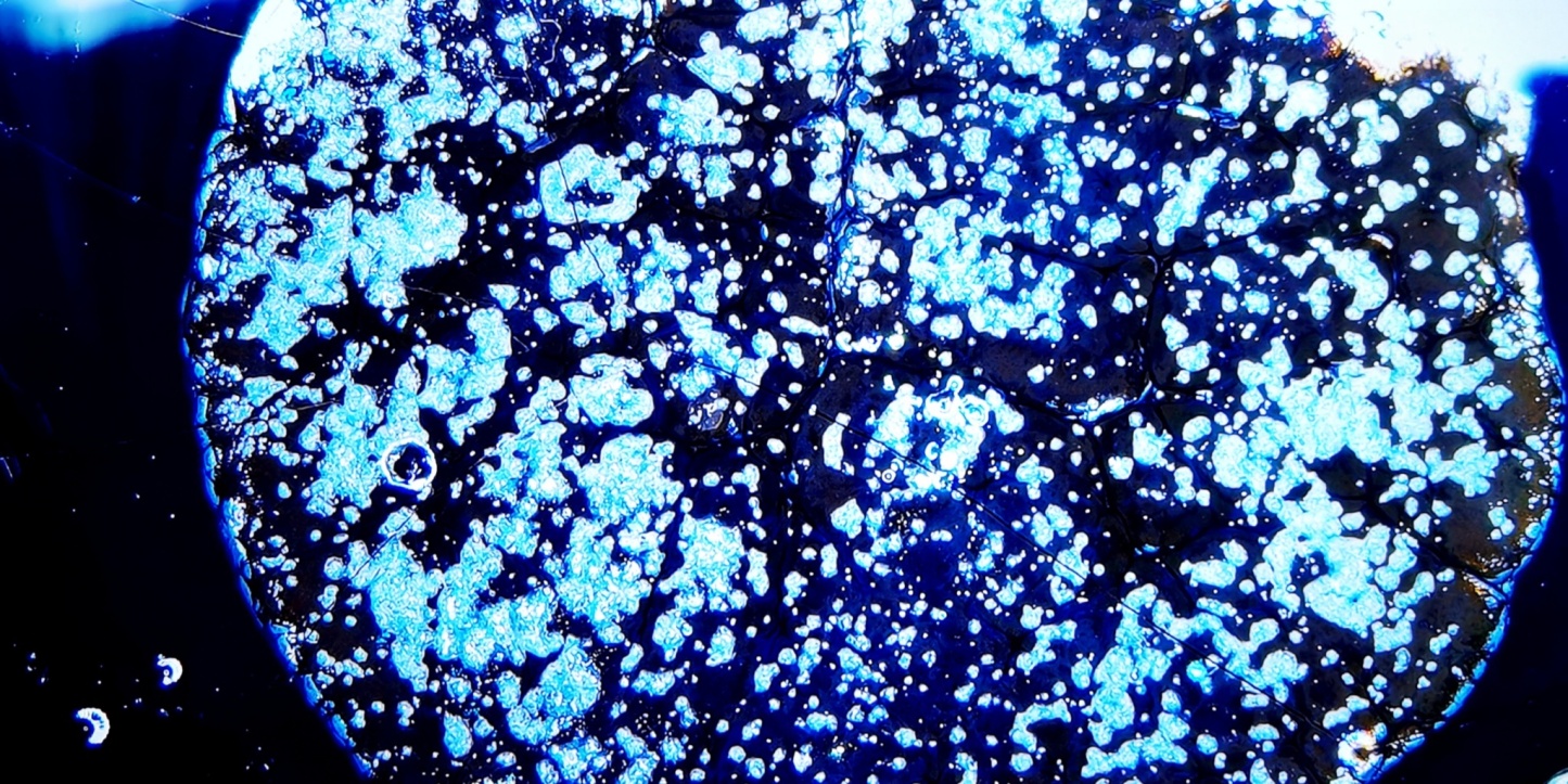 Odin's Sapphire Gaze tied-mouth Yohen Jian Zhan Tea Cup