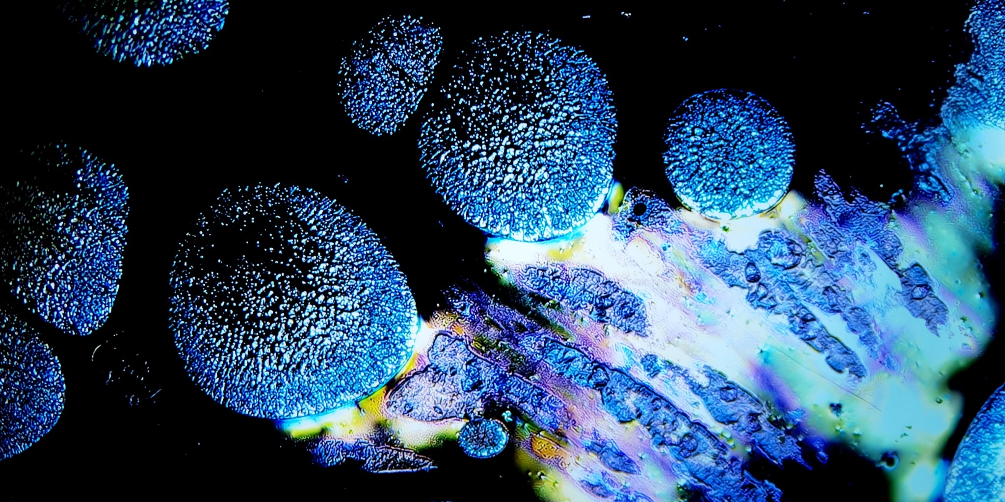 Odin's Sapphire Gaze tied-mouth Yohen Jian Zhan Tea Cup