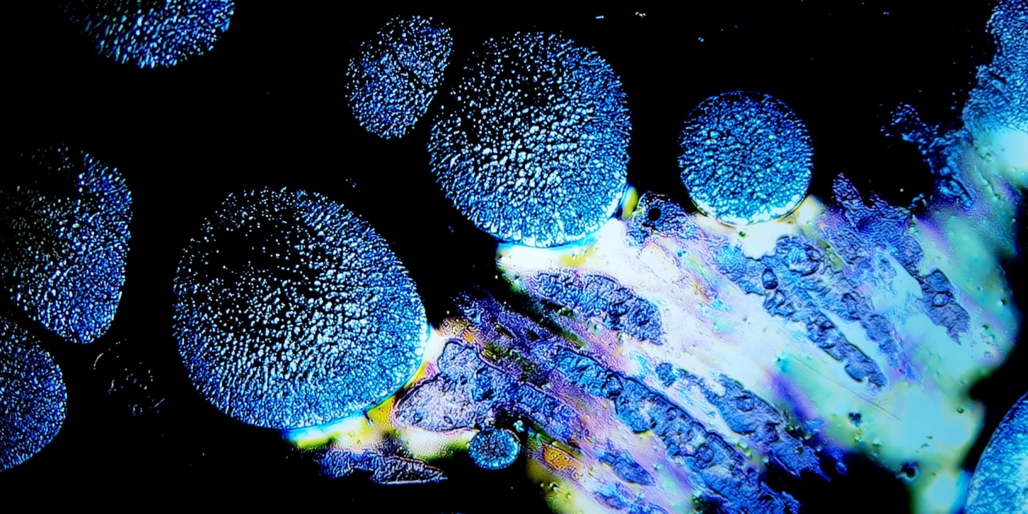 Odin's Sapphire Gaze tied-mouth Yohen Jian Zhan Tea Cup